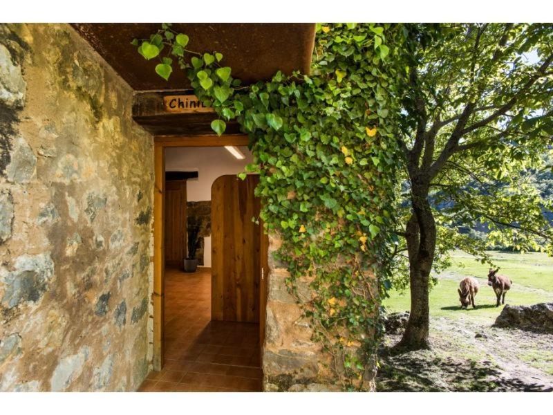 Casas Rurales Molinias Fosado Exterior photo